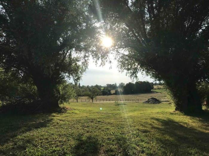 La Grange A Outeaux Bed & Breakfast Montpont-en-Bresse ภายนอก รูปภาพ